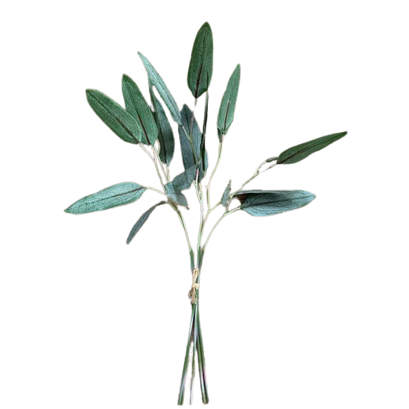 19 Inch Willow Eucalyptus Pick