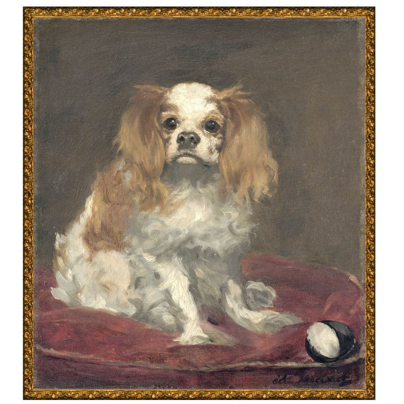 Collection 23-A King Charles Spaniel C. 1866