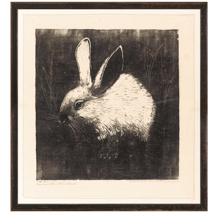 Collection 23-The Rabbit C. 1907
