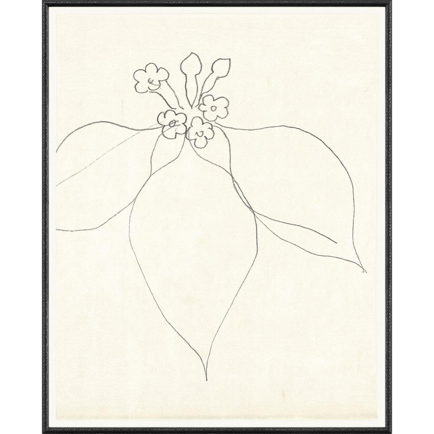 Floral Drawing IV
