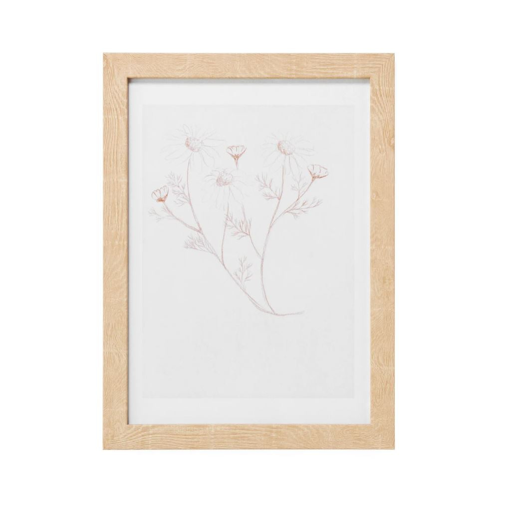 Floral Sketch Wall Art