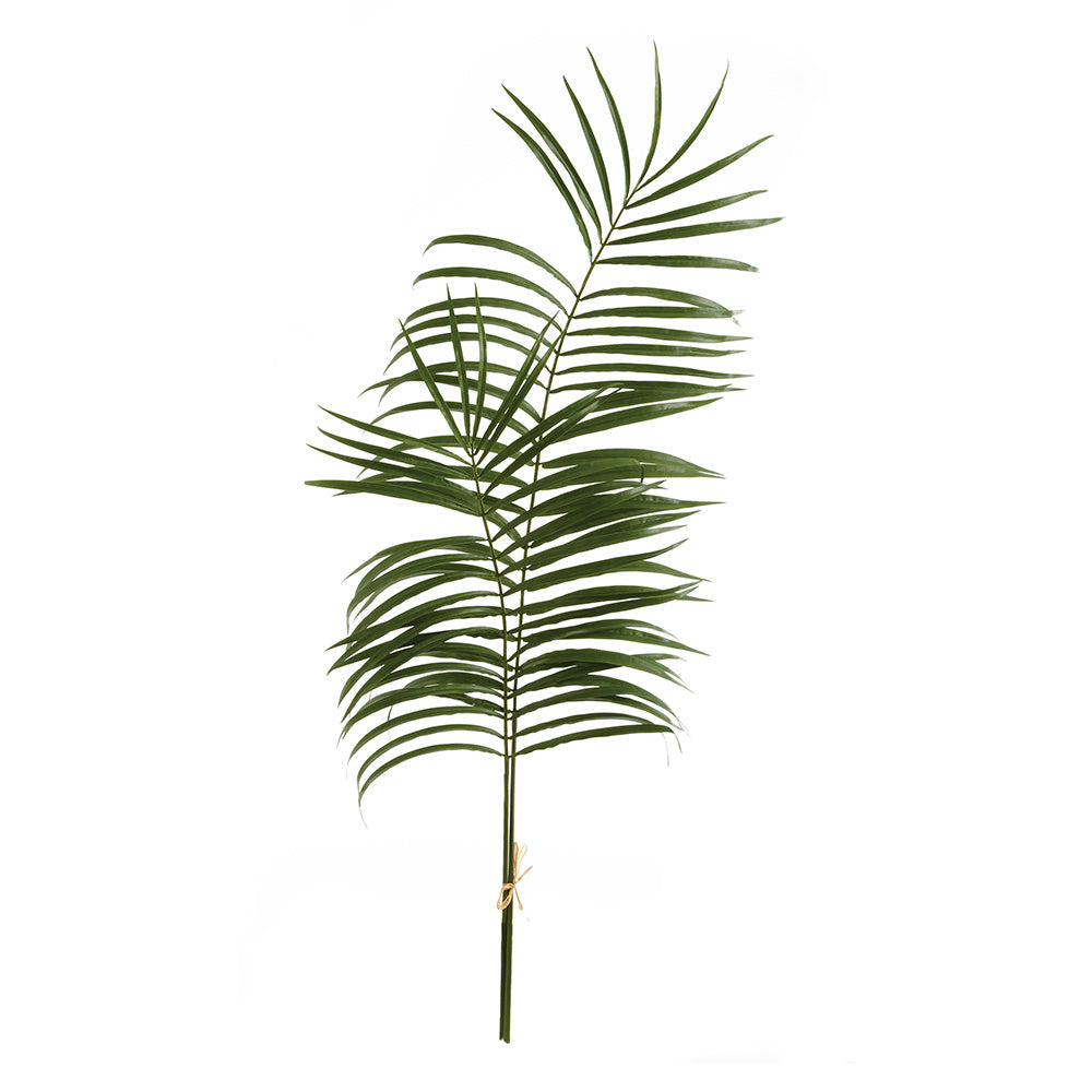 Palm Leaf Branches